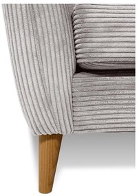 Fotoliu gri deschis cu tapițerie din catifea reiată Paris – Scandic