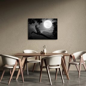 Tablou pe sticlă - Bufniță de noapte, alb și negru (70x50 cm)