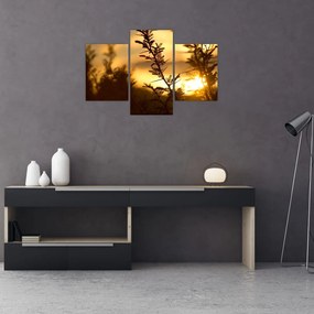 Tablou - Apus de soare (90x60 cm)