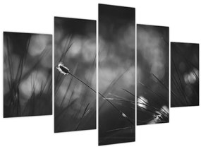 Tablou - Iarbă de pajiște (150x105 cm)