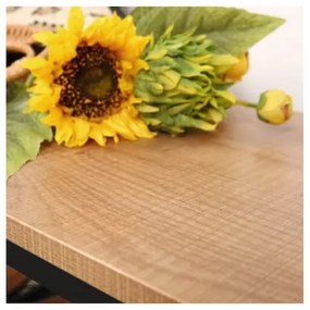 Pantofar DAVOR maro/negru