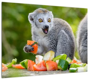 Tablou pe sticlă cu lemur (70x50 cm)