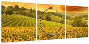 Tablou - Câmp de floarea-soarelui (cu ceas) (90x30 cm)