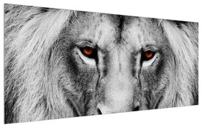 Tablou albnegru cu leu (120x50 cm), în 40 de alte dimensiuni noi