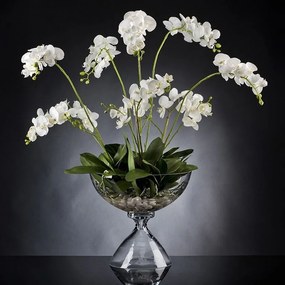 Aranjament floral mare, design LUX PHALENOPSIS PLANT 1141376.95