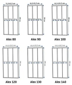 Rea Alex usi de dus 100 cm culisanta auriu periat sticla transparenta REA-K2500