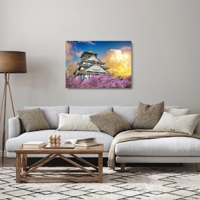 Tablou pe sticlă - Castelul Osaka (70x50 cm)