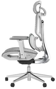 HBADA E3 AIR Scaun ergonomic, cu suport lombar dinamic pe 3 zone, tetieră reglabilă 3D, cotiere reglabile 6D, pivotant, Gri