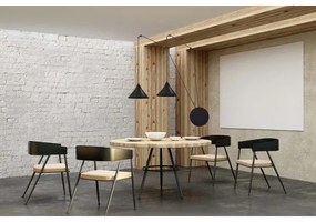 Lustră pe cablu ABRAMO 2xE27/15W/230V negru