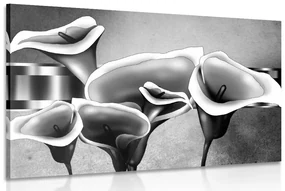 Tablou flori calla lilly elegante în design alb-negru