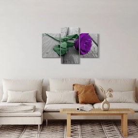 Tablou - Trandafir violet cu tulpina verde (90x60 cm)