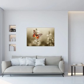 Tablou cu fluture (90x60 cm)