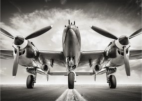 Tablou pe sticlă - Warbird (70x50 cm)