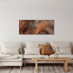 Tablou - Cortaderie (120x50 cm)