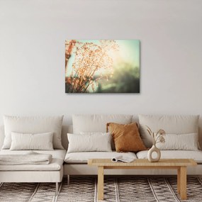 Tablou - Plante după ploaie (70x50 cm)