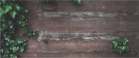 Tablou - Lederă (120x50 cm)