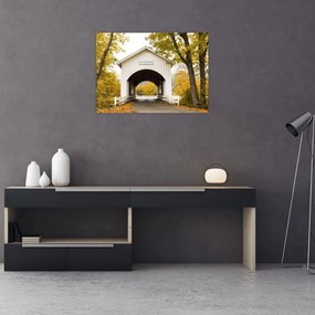 Tablou pe sticlă cu podul în Oregon (70x50 cm)