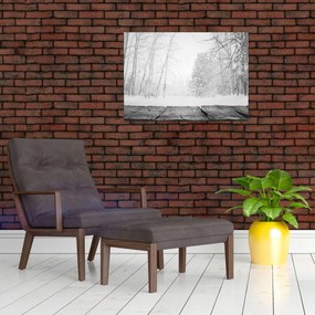 Tablou - Pier de lemn în timpul iernii (70x50 cm)