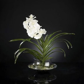 Aranjament floral elegant VANDA 1141013.95