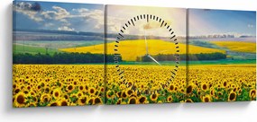 Tablou - Câmp cu floarea soarelui (cu ceas) (90x30 cm)