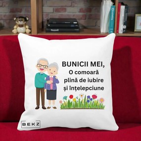 Cadou pentru Bunici - Perna Personalizata Bunicii Mei Comoara Cuplu Senior cu Flori Colorat, 40x40 cm, Alba Mata, Husa Detasabila, Perna Inclusa, BEKZ®