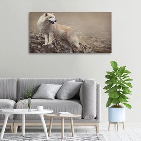 Tablou canvas Lup alb pe stâncă