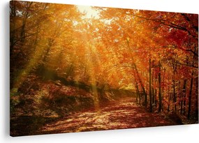 Tablou cu pădurea în toamnă (90x60 cm)