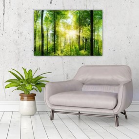 Tablou - Răsărit în pădure (90x60 cm)