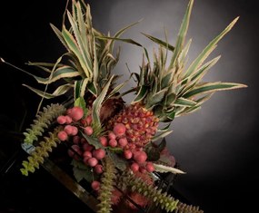 Aranjament floral mediu decor festiv design LUX CRASSULA PINEAPPLE