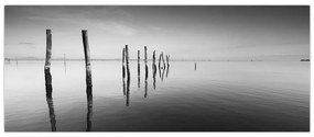 Tablou cu nivelul de lac alb negru (120x50 cm)