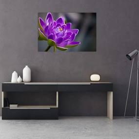 Tablou floarei (90x60 cm)