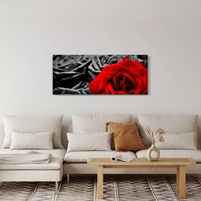 Tablou - Trandafir (120x50 cm)