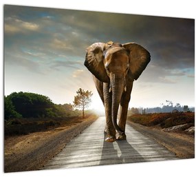 Tablou cu elefant (70x50 cm)