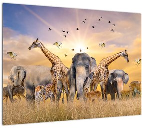 Tablou pe sticlă - Animae din Africa (70x50 cm)