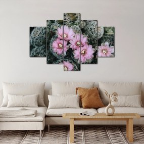 Tablou floare de cactus (150x105 cm)
