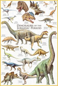 Poster Dinosaurs of the Jurassic