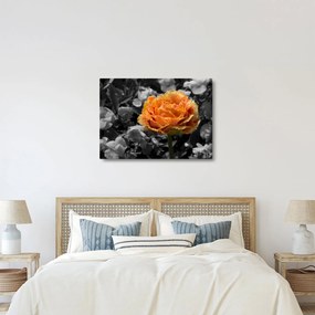 Tablou cu floare (70x50 cm)