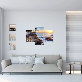 Tablou - Malul pacfic (90x60 cm)