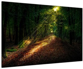 Tablou cu poteca prin pădure (90x60 cm)