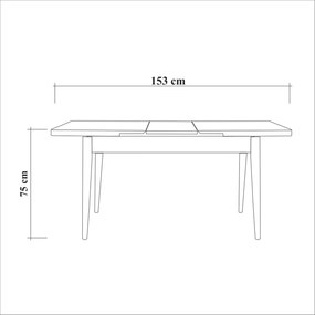 Masă sufragerie extensibilă  (pentru 6 persoane) Santo (Pin atlantic). 1072737