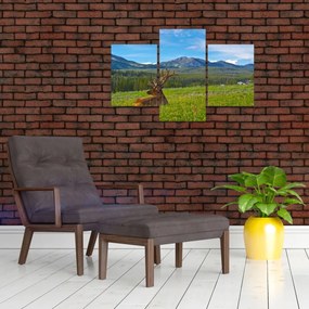 Tablou - Cerb în luncă (90x60 cm)