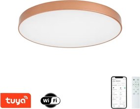 Brilagi-LED Lampă dimabilă pentru piscină POOL SMART LED/100W/230V 80 cm Wi‑Fi Tuya bronz+ cu telecomandă