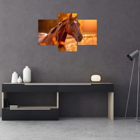 Tablou - Cal în apus de soare (90x60 cm)