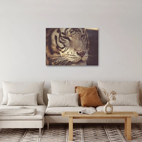 Tablou cu tigrul (70x50 cm)