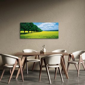 Tablou - Câmp cu alei (120x50 cm)