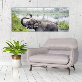 Tablou - Elefant de scăldat (120x50 cm)