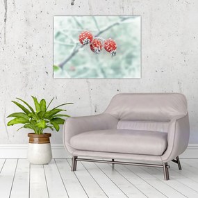 Tablou pe sticlă cu măcieșe înghețate (70x50 cm)
