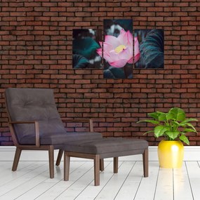 Tablou cu floare roz (90x60 cm)