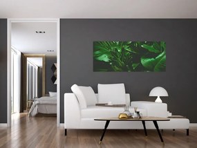 Tablou - Frunze de palmier (120x50 cm)