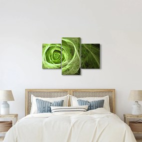 Tablou - Abstract Rose Green (90x60 cm)